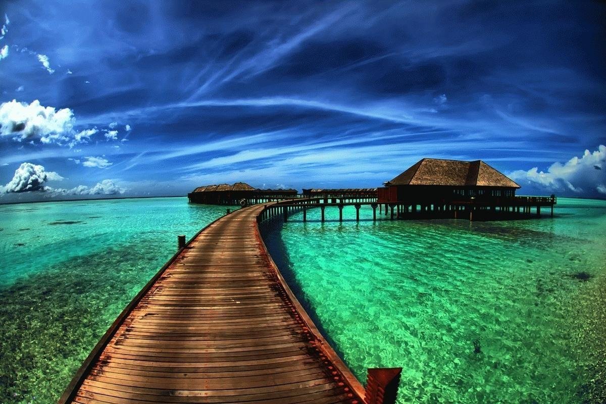 Kanzotech Widow Pension Program: A Lifeline for 190+ Widows in Kerala, India